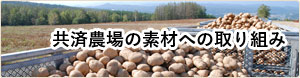 共済農場の素材への取り組み